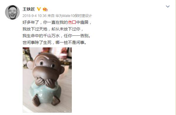 王欣回来了没有,王欣回来了吗