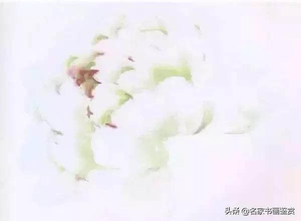 九种牡丹画法步骤,写意牡丹调色