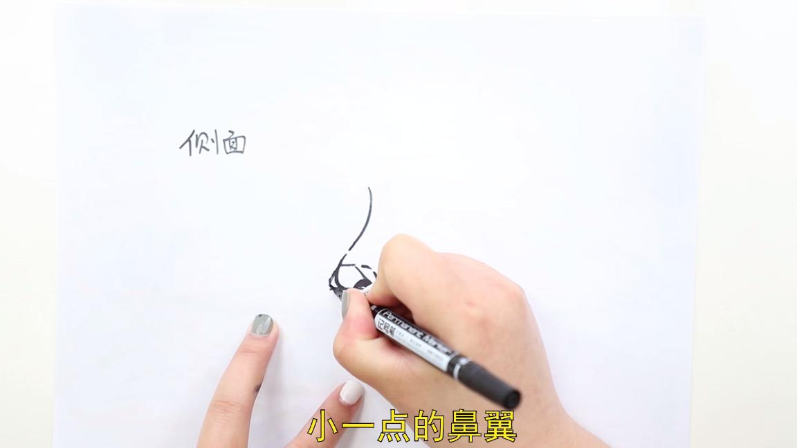 鼻子怎么画简笔画,鼻子怎么画高又挺