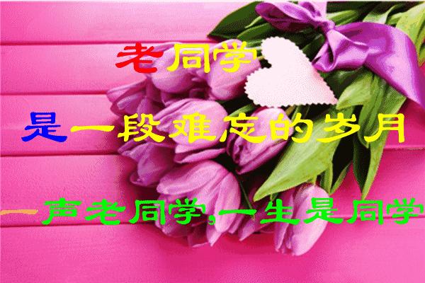 致老同学的年末感言,把最美好的祝福送给老同学