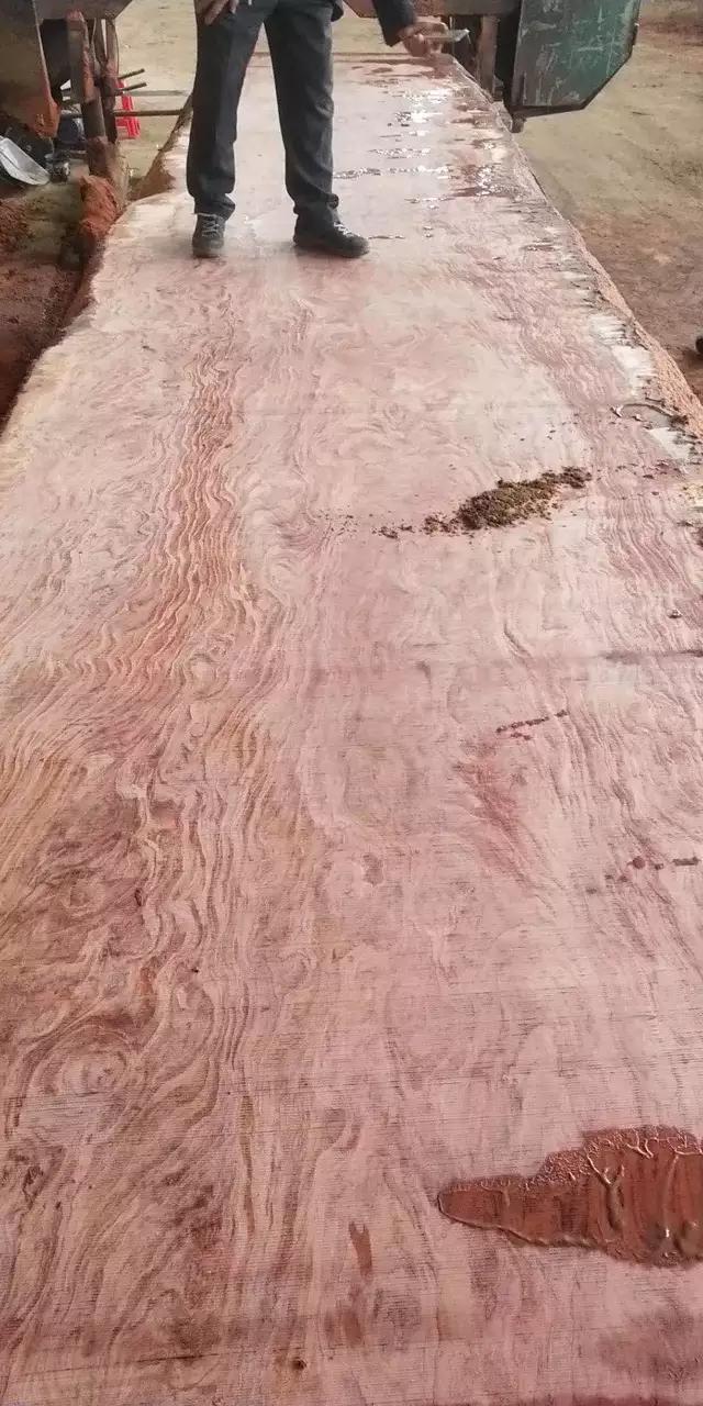 暗访广东天价大板生产基地，原料全是称斤拉木头，富豪还排队来买