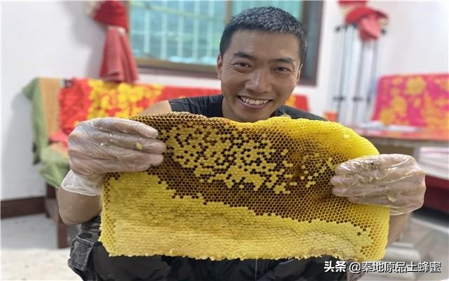 16个养蜂技巧让你轻松养蜂,养蜂这个职业叫什么