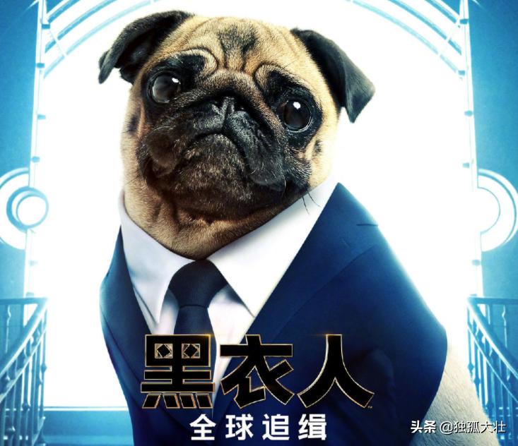 黑衣人全球追缉科幻片,黑衣人全球追缉frenchsalesman