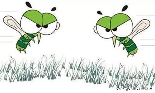 出门必备药品清单表,外出必备十大药品清单