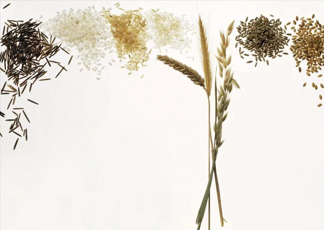 中国膳食指南谷物摄入量,中国居民膳食指南2022全谷物