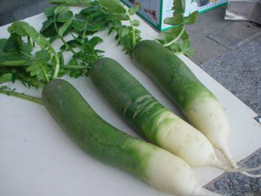 济南几大怪,济南十大怪事件