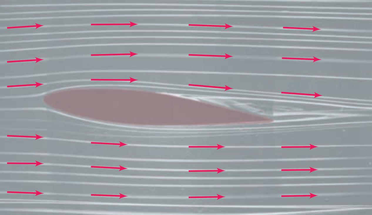任何数都有绝对值吗,一个数的绝对值是负