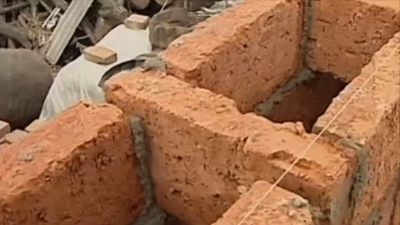 毒蝎进村的真实事件,毒蝎进村的真实原因