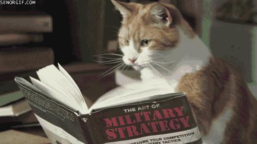 长春夜市书展,想去逛漫展