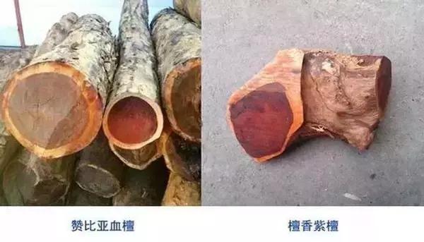 明清时期最受欢迎的7种红木用材,红木用材特征分类标准有哪些