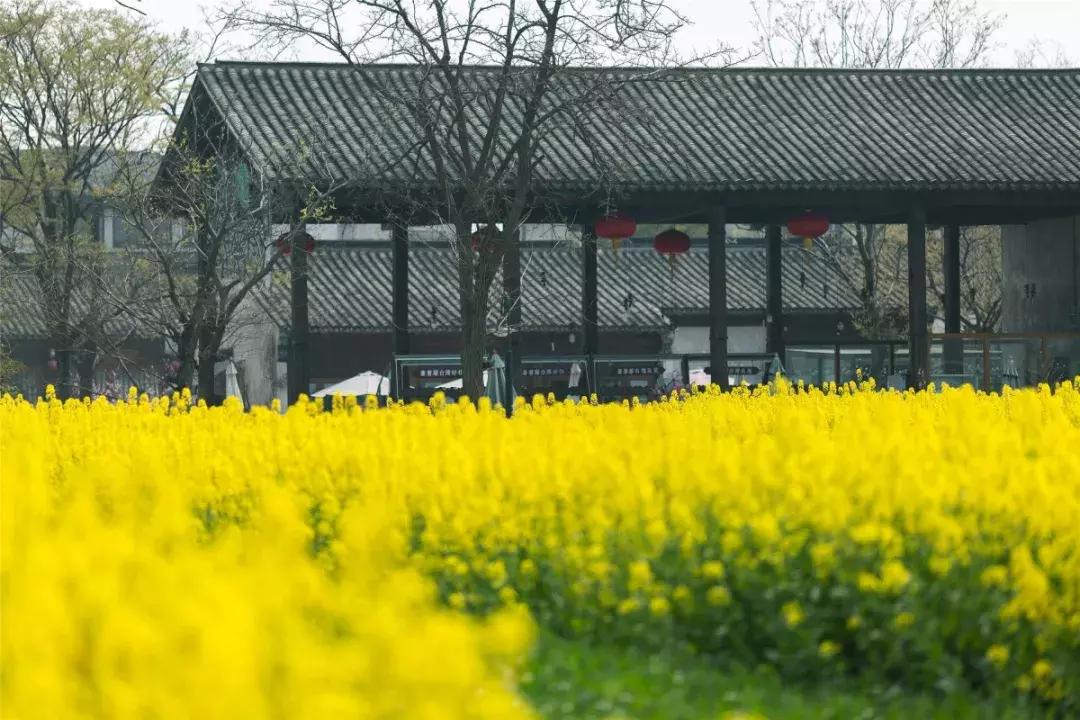 中国田园综合体运营模式,田园东方总投资实现盈利