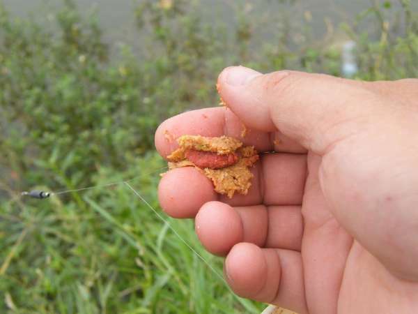 传统钓小杂鱼闹窝怎么办,应对小杂鱼闹钩方法技巧