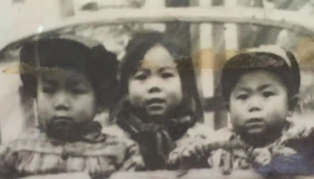 长成的华山.托就的佛