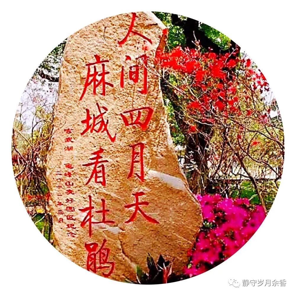 情满龟峰·诗涌花海