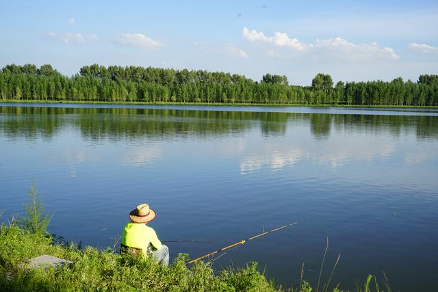 大鱼太多如何钓鲫鱼,大鱼少小鱼多怎么钓
