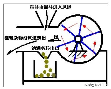汉字本义深度解读,深度解析汉字本义