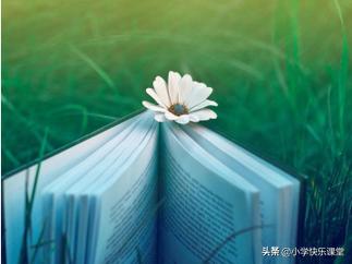 小学语文部编三年级上册加减偏旁变新字再组词，总结全，认真掌握