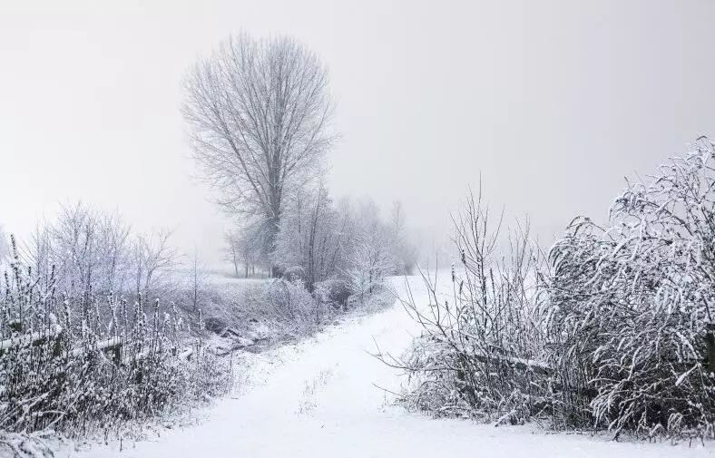 入冬手脚冰凉的女人怎么调理,孕妈冬天脚冷怎么办