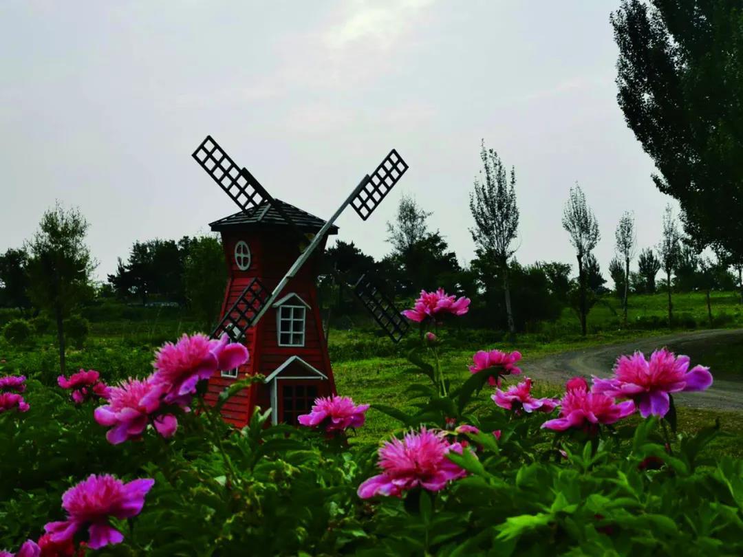 沈阳日报12月13日,沈阳新闻9月16日