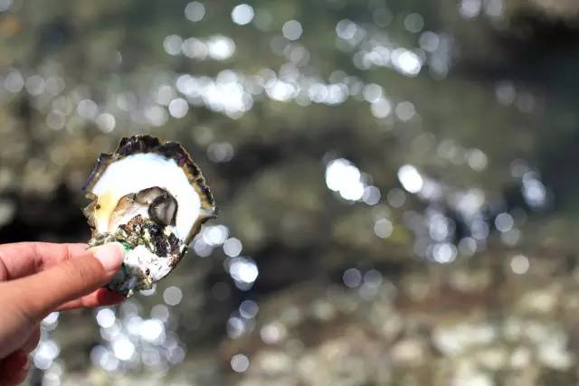 马来西亚旅游免签吗现在,马来西亚免签过关攻略