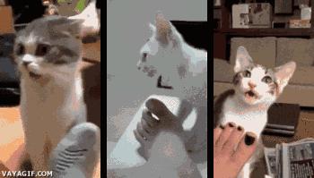 脚臭的人运气好,脚臭的人脱鞋有用吗