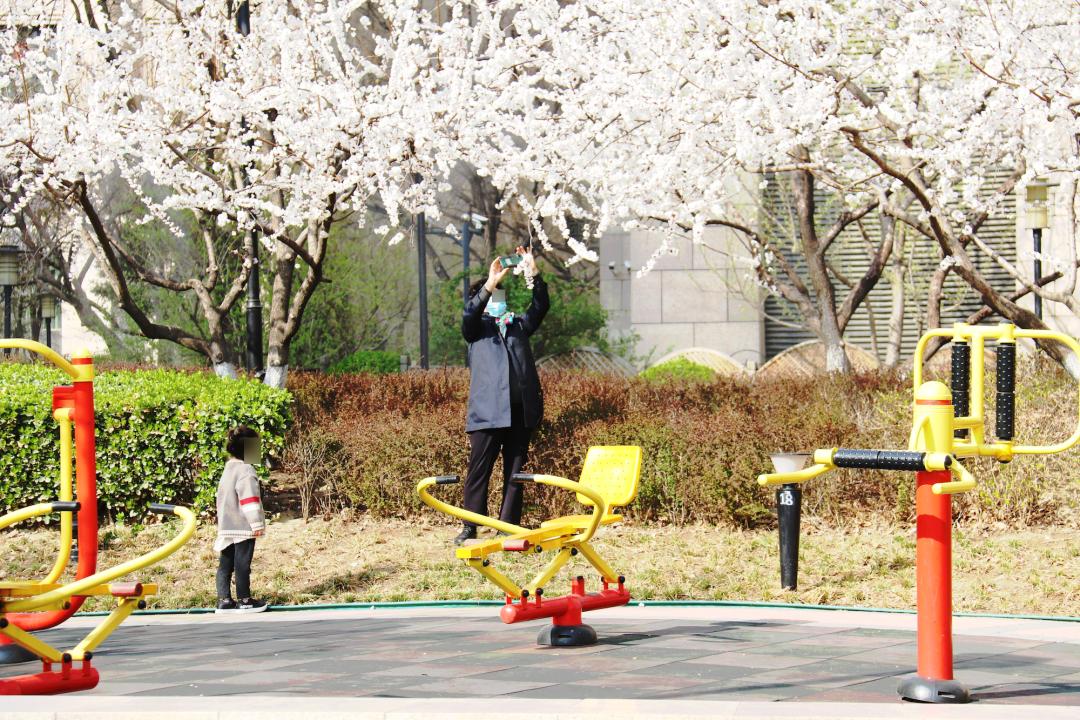 走在春天里简谱,歌曲走在春天里