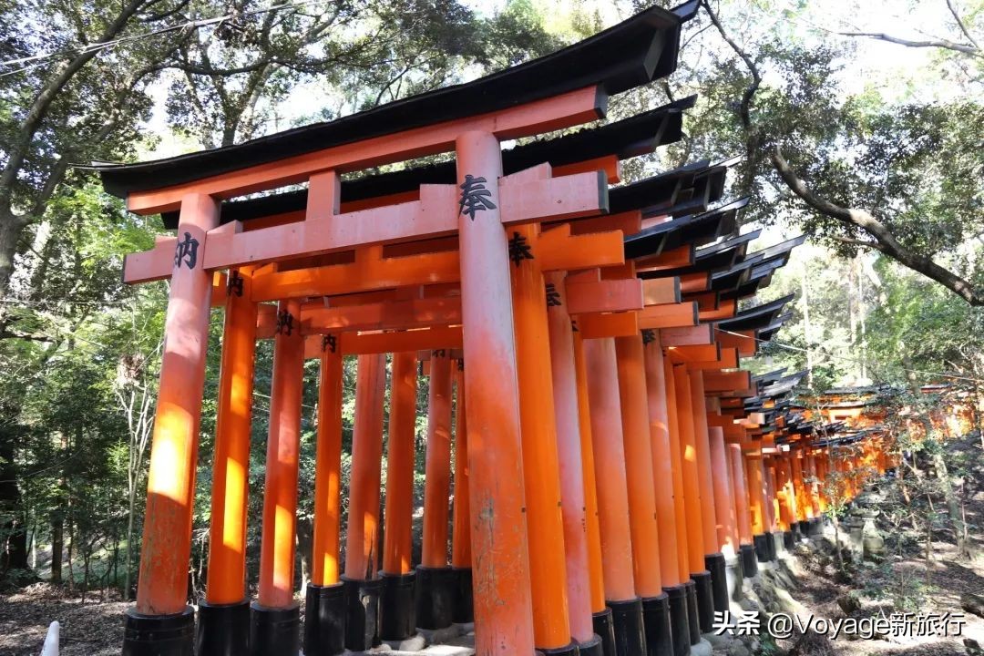 如果一生只能去一次北海道,如果一生只能去一次甘南