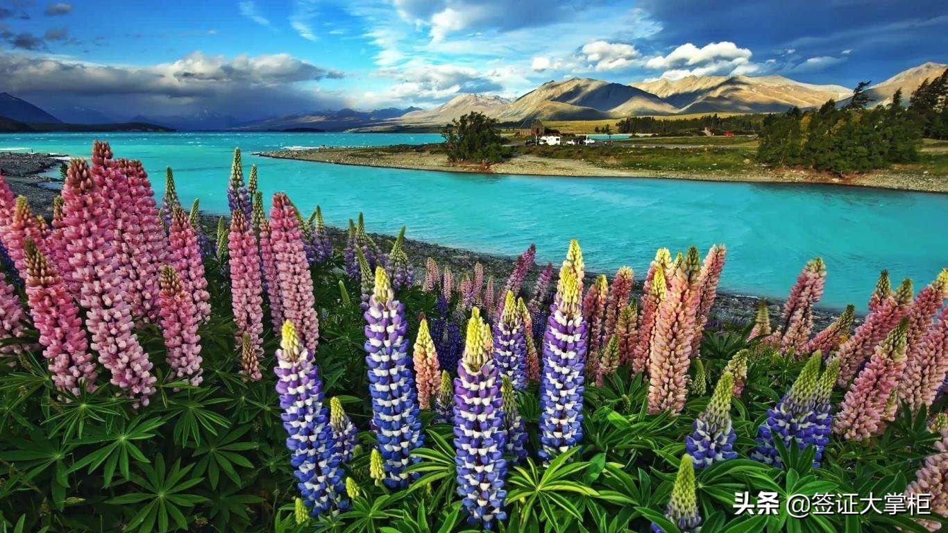 最新各国签证照片要求一览,各国旅游签证所需材料要求是什么