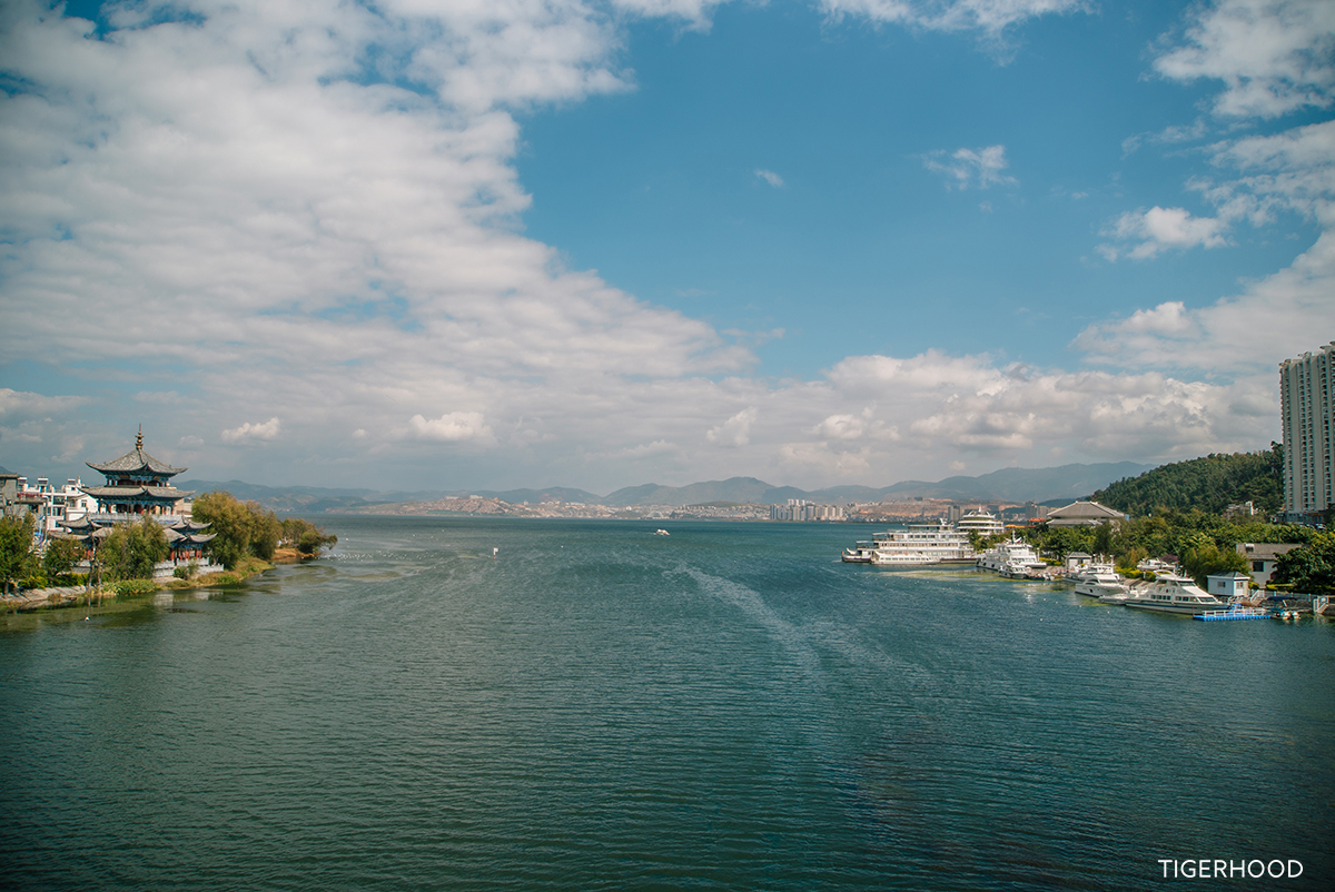 太格有物怎么样,太格有物