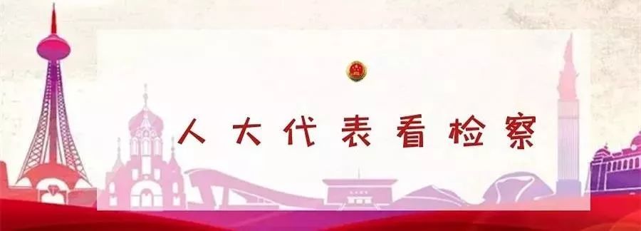 人大代表视察检察院工作发言,人大代表看检察工作