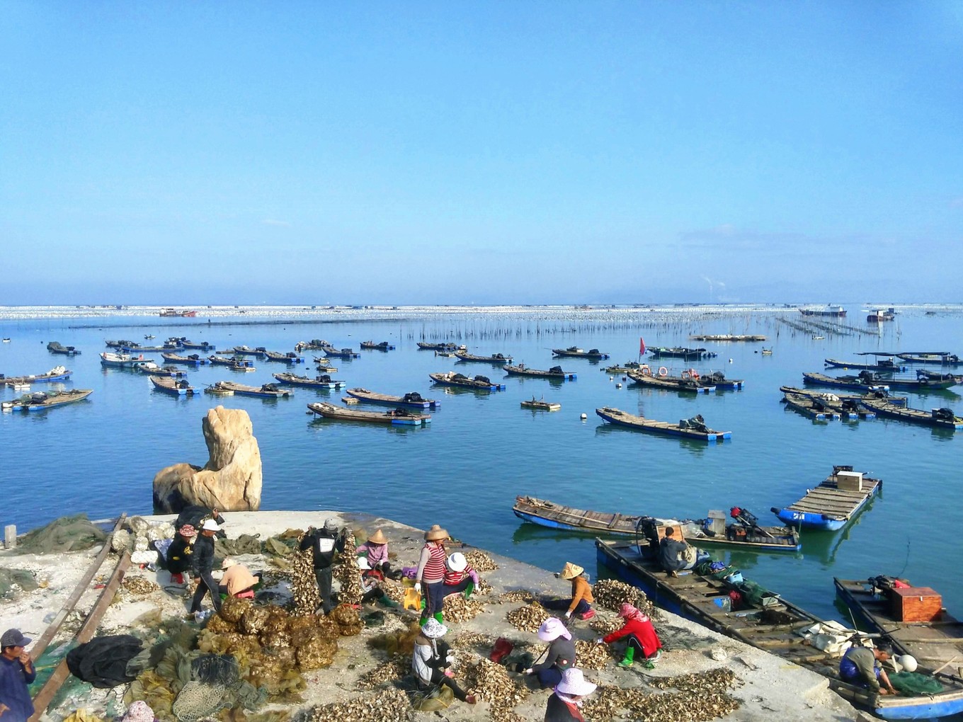 南澳岛看海完整版,南澳岛看海解读