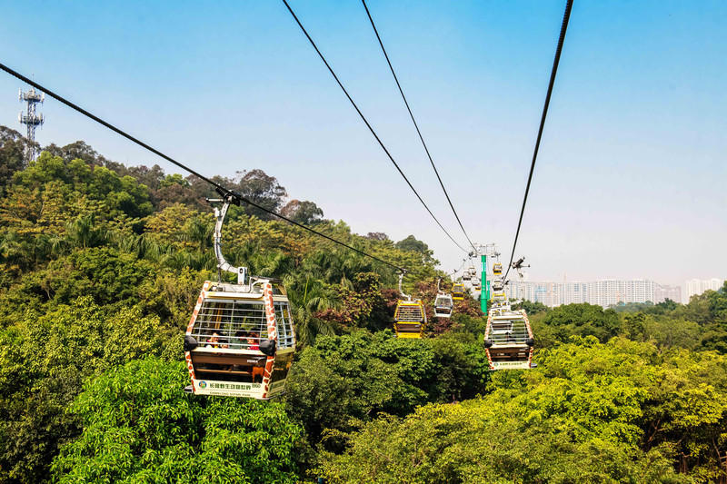 玩转广州长隆野生动物世界之行,广州长隆动物世界游玩攻略图