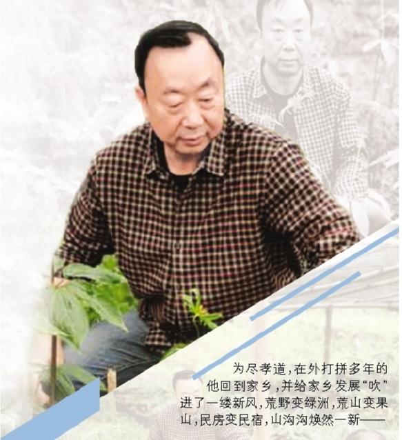 埋下“土黄金”穷山沟变聚宝盆