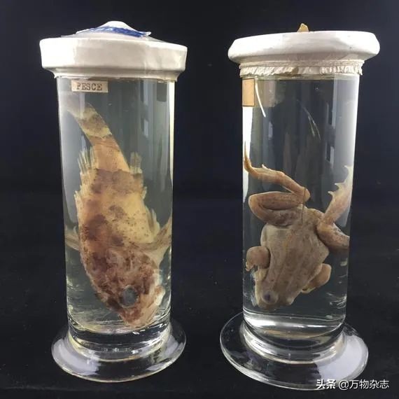 为什么衣服总是皱巴巴的,为什么买的衣服总是皱