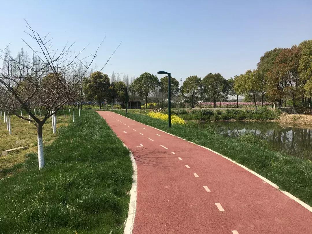 魔都最美健身步道普陀,魔都最美健康步道排名