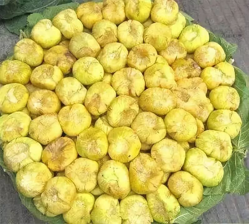 全新疆著名的特产,盘点十大新疆的特产