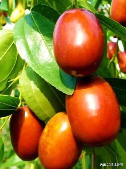 南疆印象系列文章十一：一弹横空出世地——若羌是怎样一个地方？