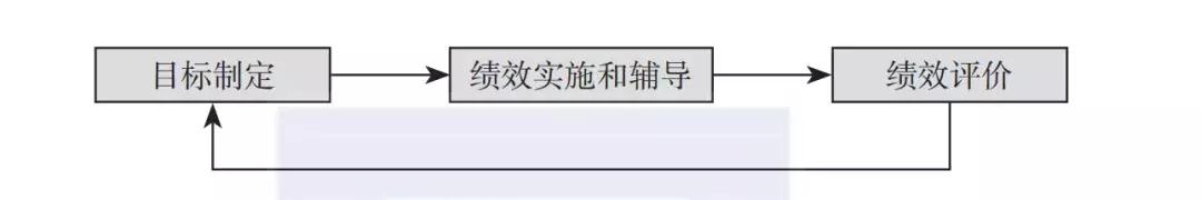 人人都说绩效是公司「毒奶」，有谁知道为什么？