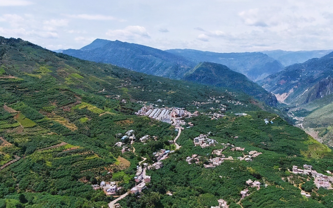 中国花椒行业市场运营格局,花椒行业市场调研报告