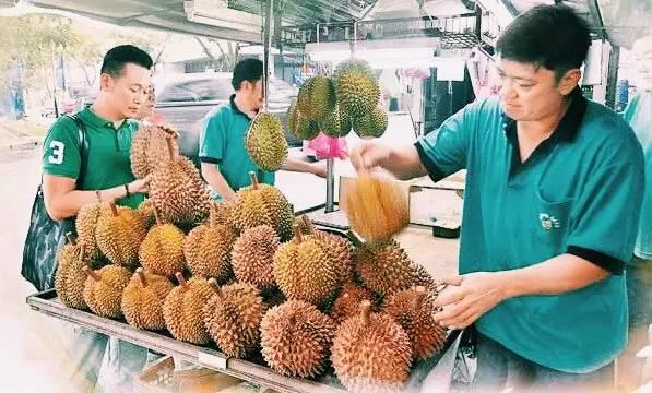 马来西亚哪里榴莲好吃又便宜,马来西亚39块钱榴莲自助