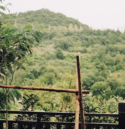 菜吧:她不上班也不靠脸吃饭,住2层小楼,过上了别人做梦都要的日子