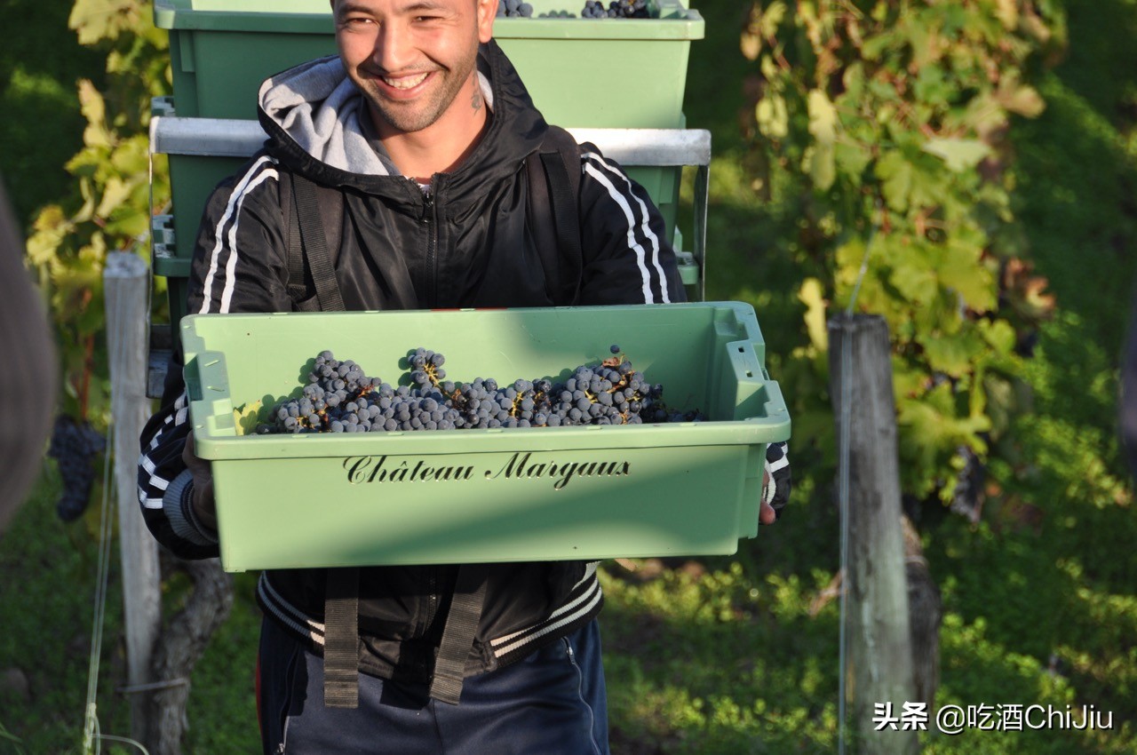 认识玛歌酒标,法国玛歌红酒和拉菲是一个档次吗
