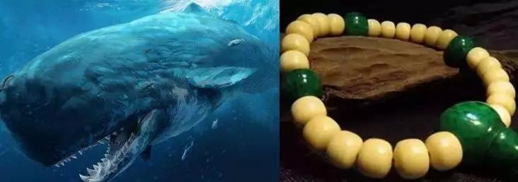 一辈子都不能碰的七种文玩,这10种文玩都是违禁品最好别碰