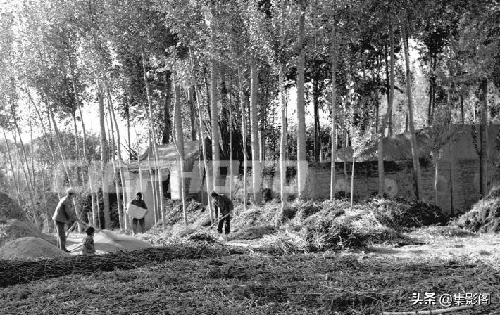 榆林市八十年代 (榆林市制革厂老照片)