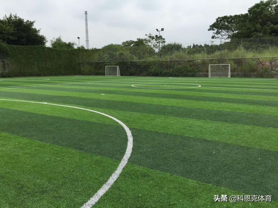 邢台仿真人造草坪草皮,假草皮人造草坪价格