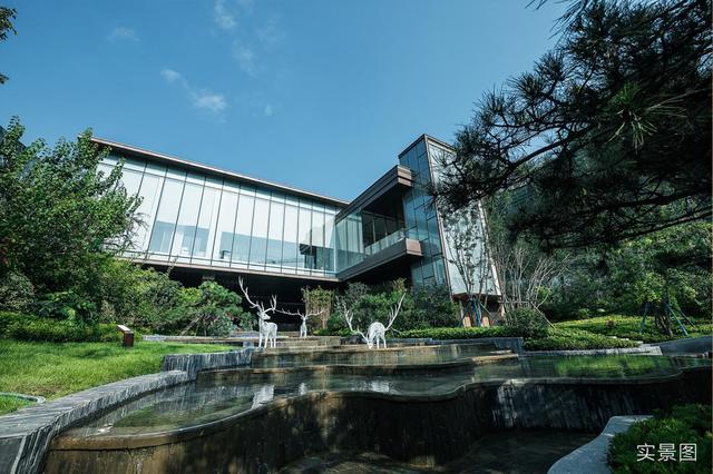 济南橄榄球培训机构,济南橄榄球培训