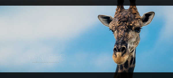 深度玩转泰国攻略,泰国游国际漫游