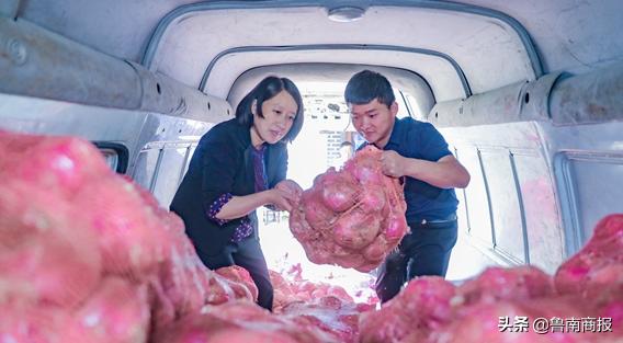 多方援手销洋葱,多方爱心接力帮助瓜农销瓜