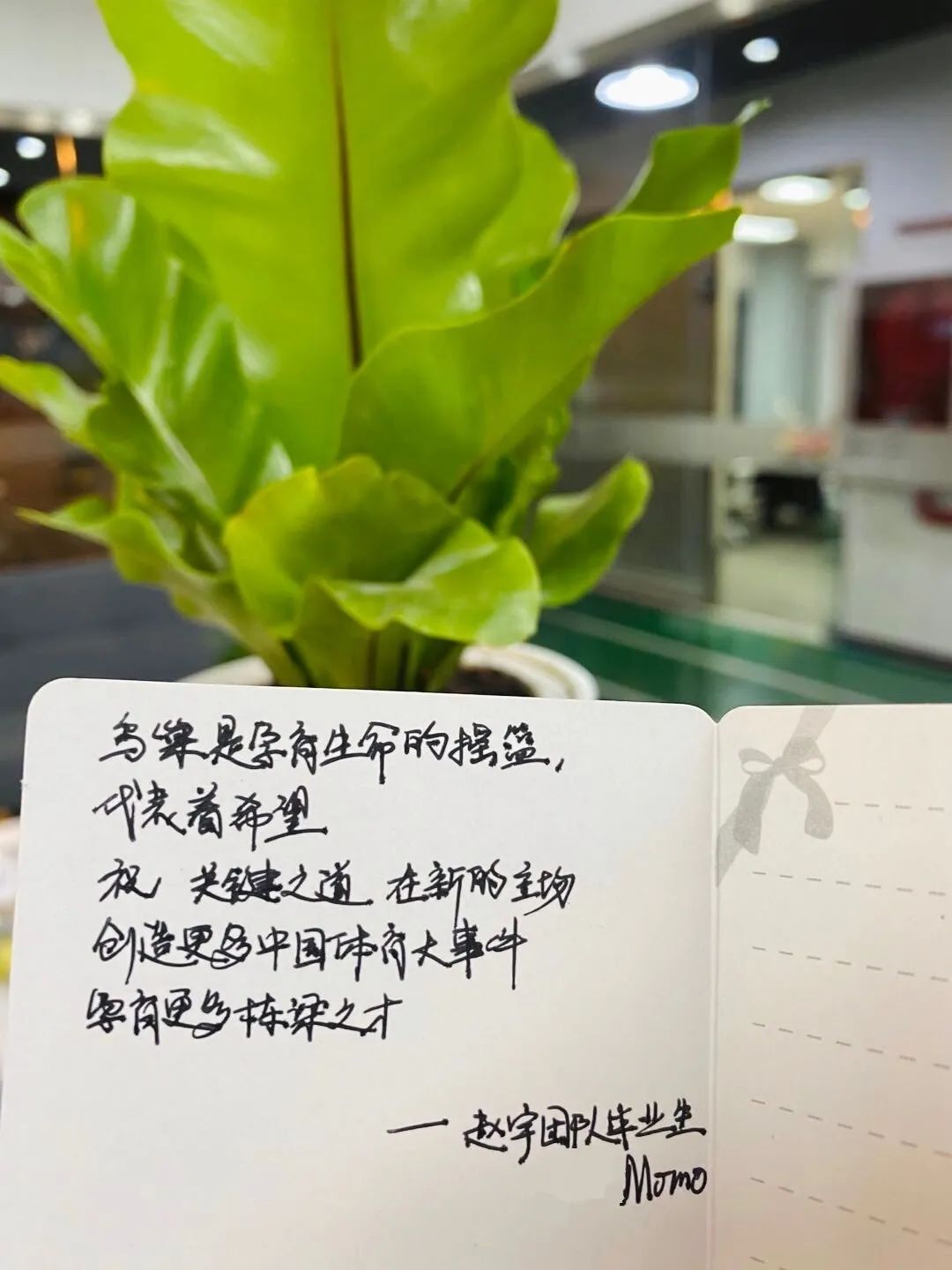 关键之道体育怎么样,关键之道体育