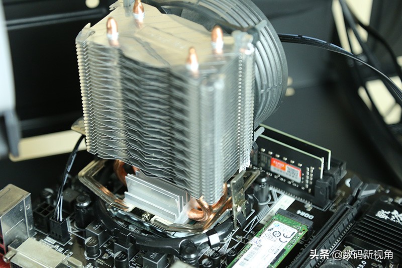 大牛拉小车的三轮摩托,大牛拉汽车视频